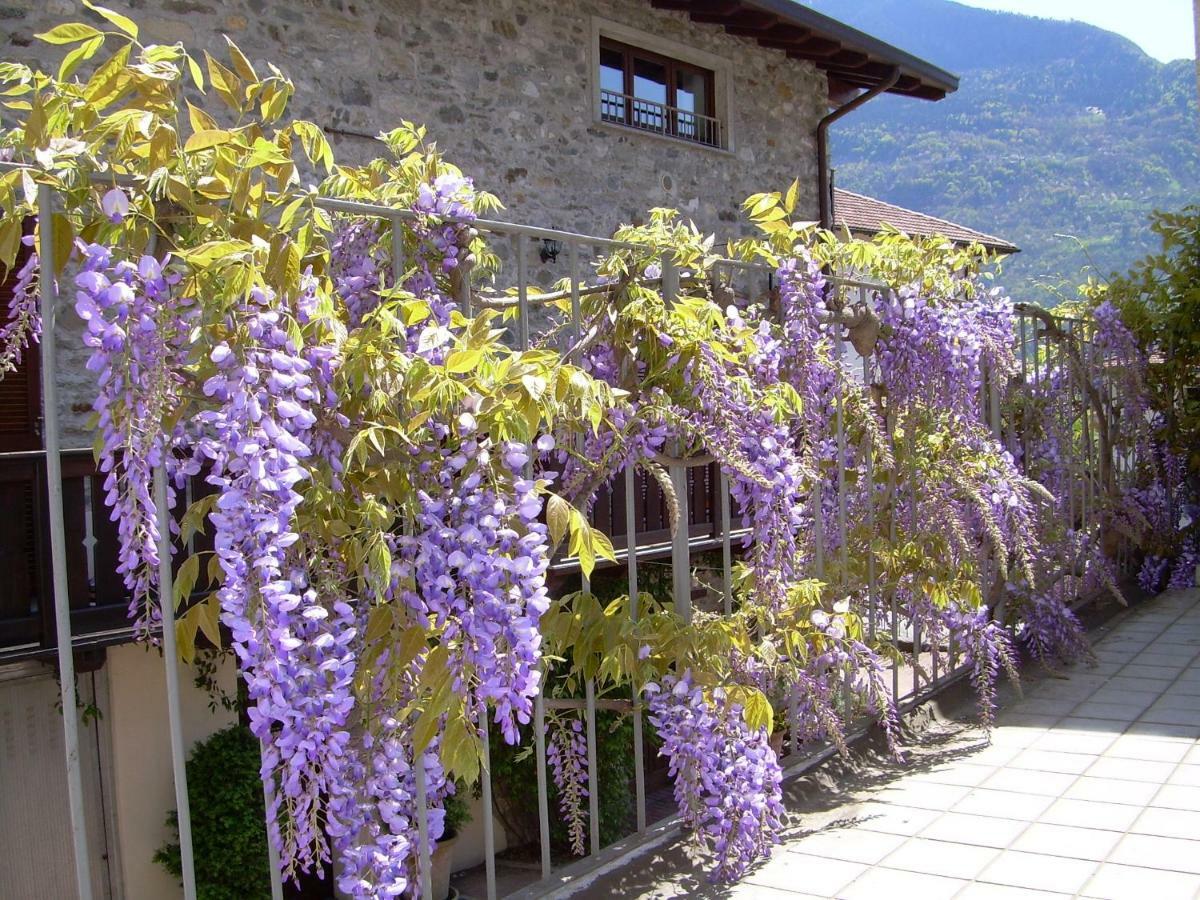 Residenza Antica Corte Villa Picta Buglio in Monte ภายนอก รูปภาพ