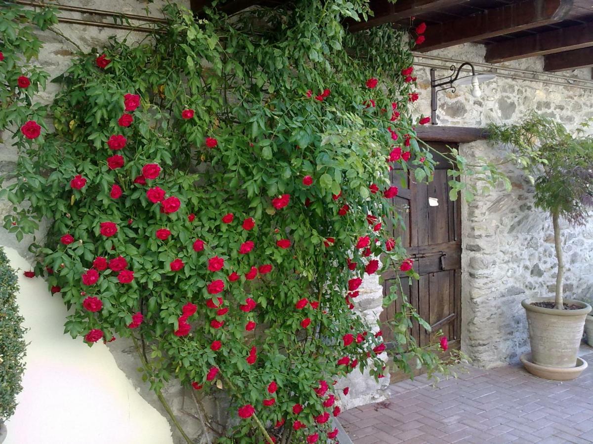 Residenza Antica Corte Villa Picta Buglio in Monte ภายนอก รูปภาพ